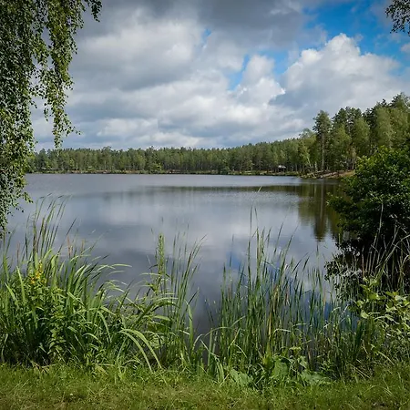 Alberta Diki